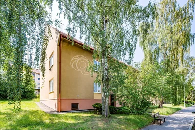 Ostatní