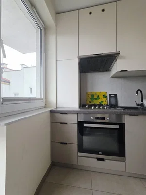 Diğer