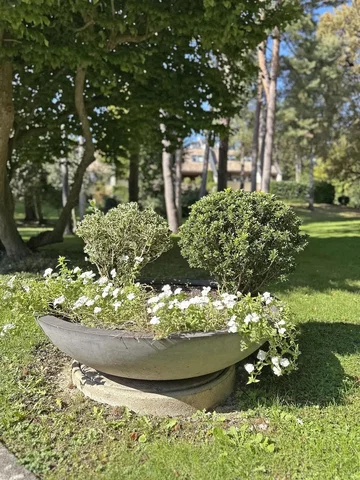 Dnevni boravak