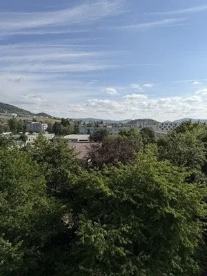Ostatní