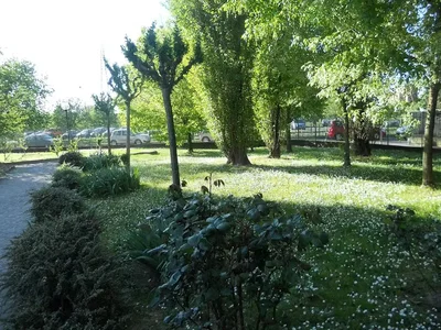 Dnevna soba