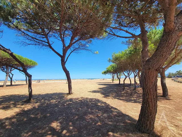 Σαλόνι