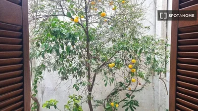 غرفة معيشة