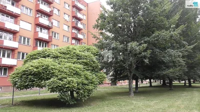 Остало