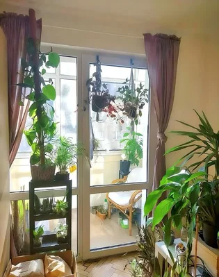 Ostale
