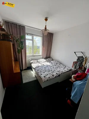 Diğer