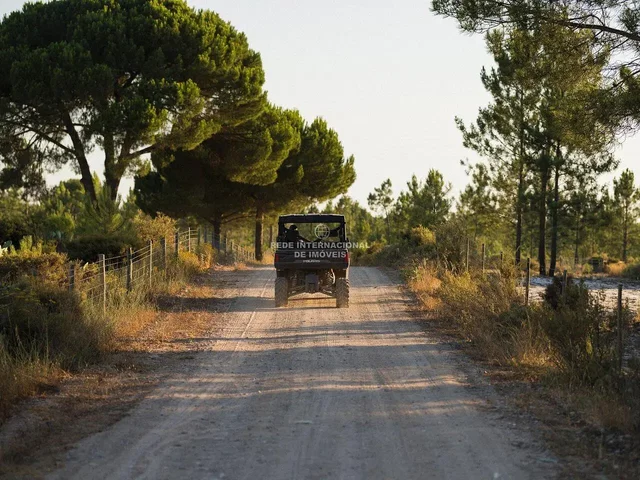Άλλο