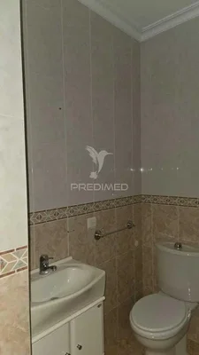 Altro