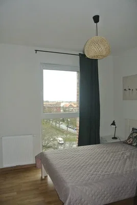 Ostatní