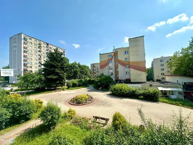 Остало