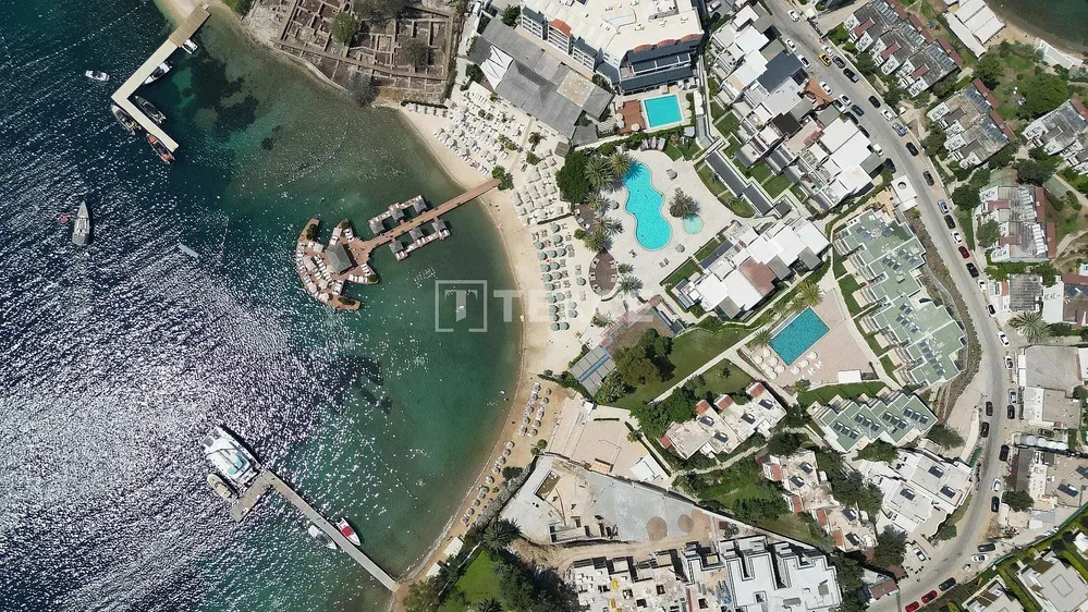 Σαλόνι