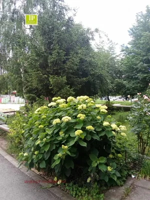Dnevna soba