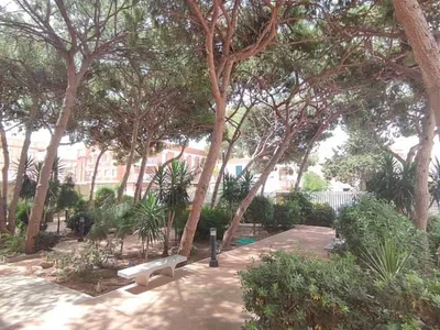 Άλλο