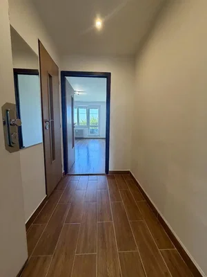 Diğer