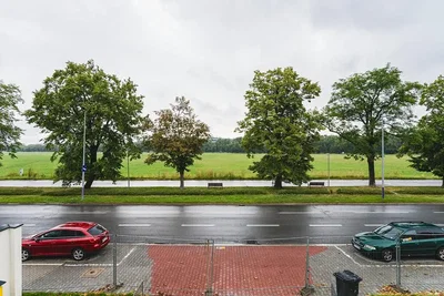 Ostatní