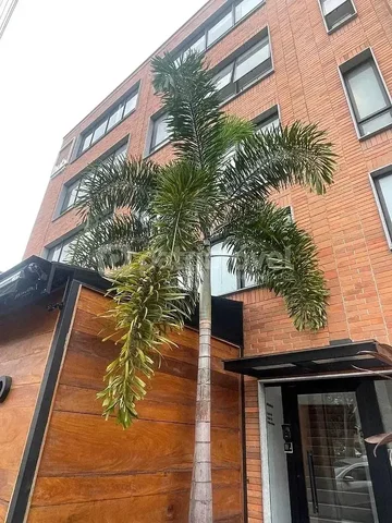 Ostatní