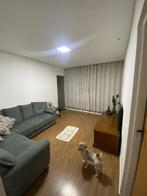 Ostatní