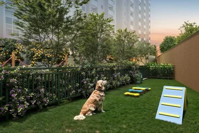 Άλλο