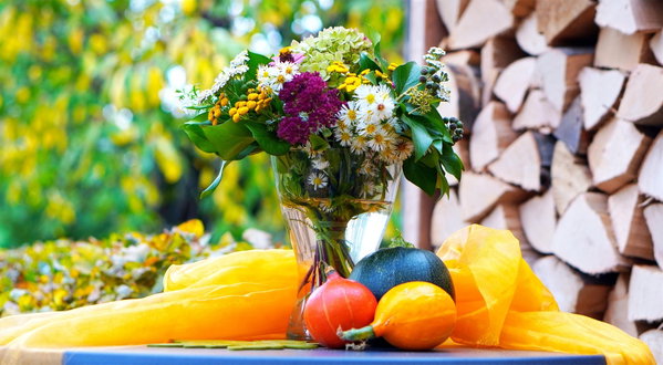 5 simple changes to make your home cozier this autumn in just one afternoon